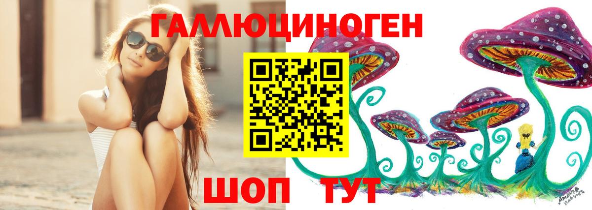 Балаково  Псилоцибиновые грибы Psilocybine cubensis  Вход с VPN 